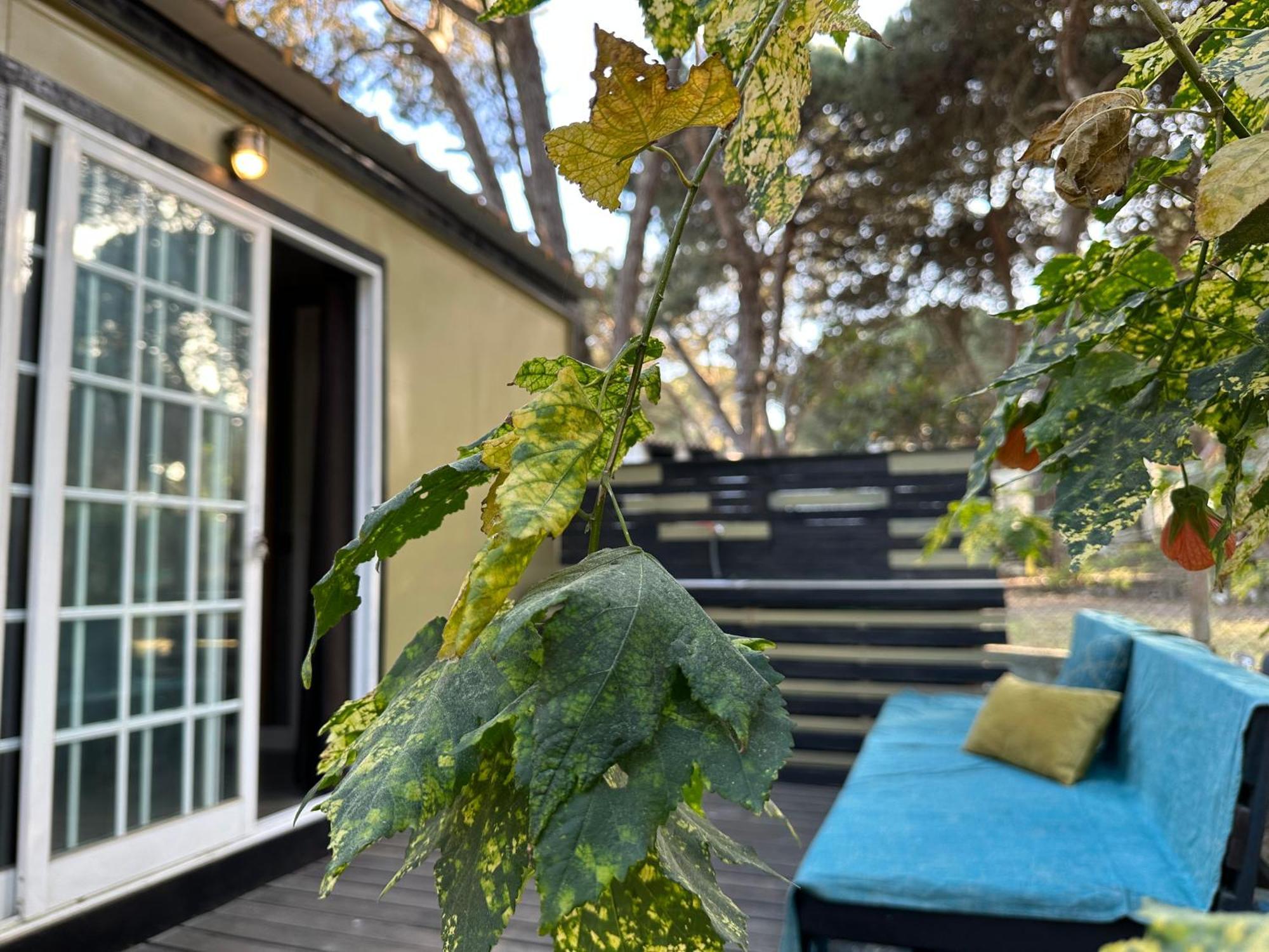 Eco-Friendly Beach House Сезімбра Екстер'єр фото